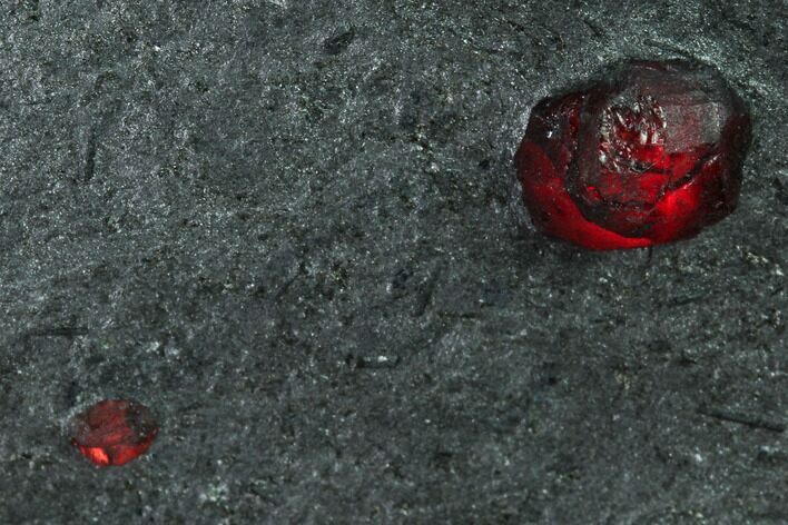 Plate of Two Red Embers Garnets in Graphite - Massachusetts #165500